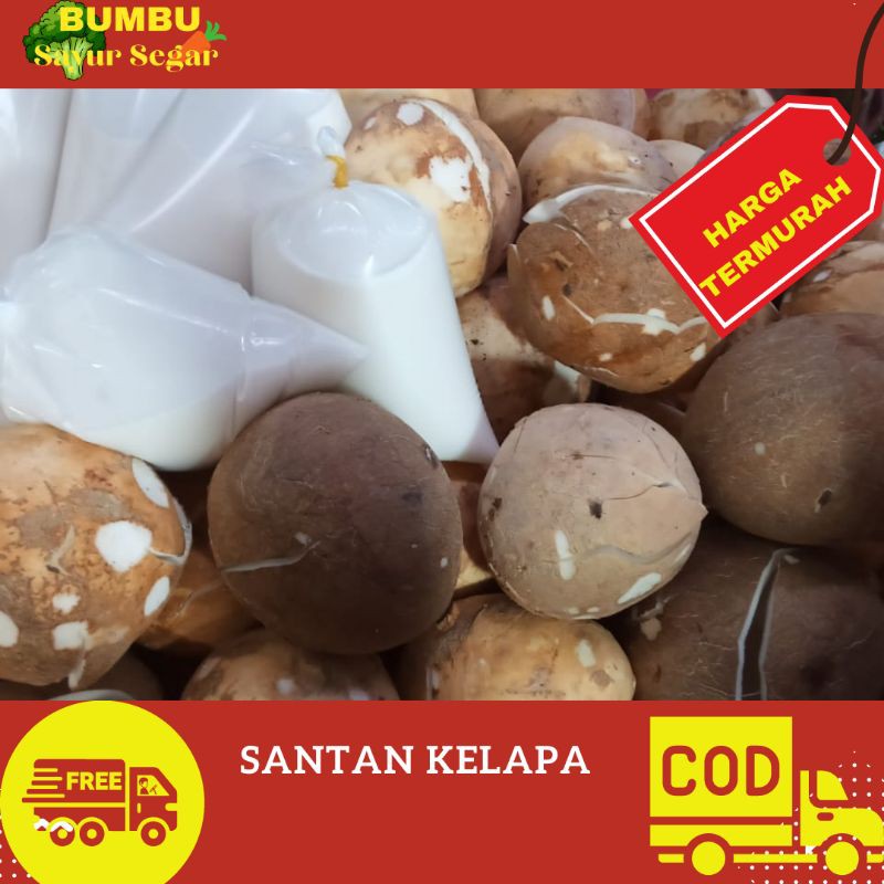 

SANTAN KELAPA - KELAPA KUPAS - KELAPA PARUT