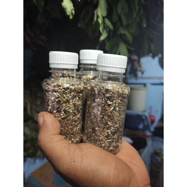 Sembur Panas/Sembur Sering/Sembur Karo