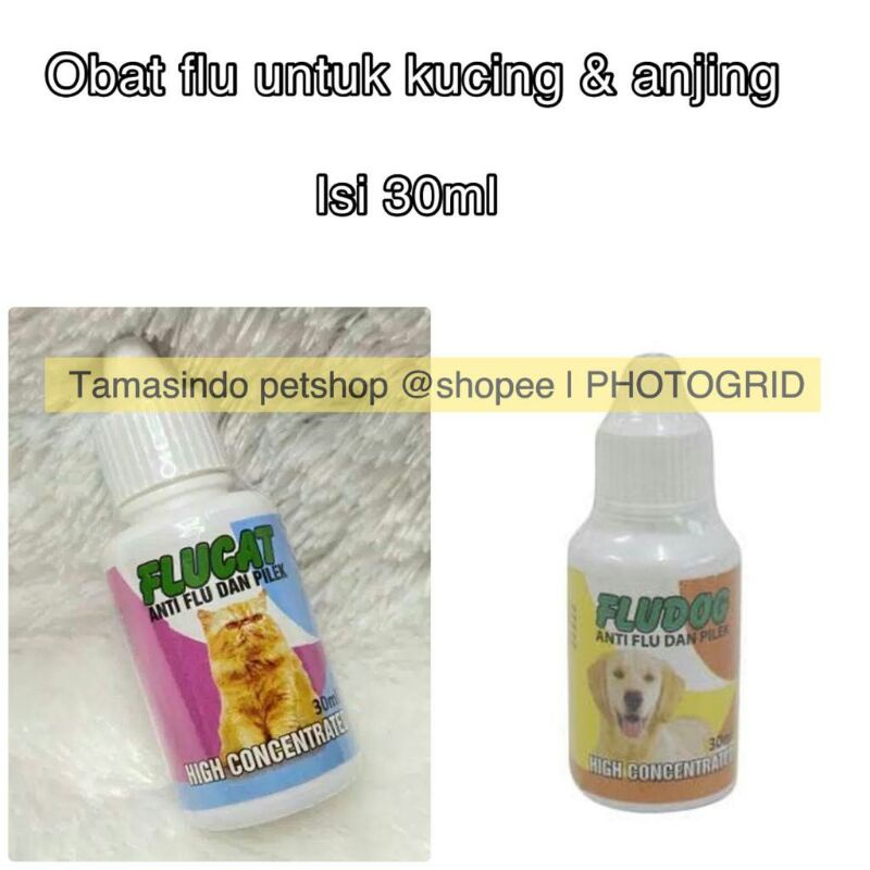 flucat fludog obat flu kucing obat flu anjing