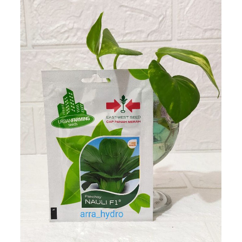 biji pakcoy /pakcoy panah merah