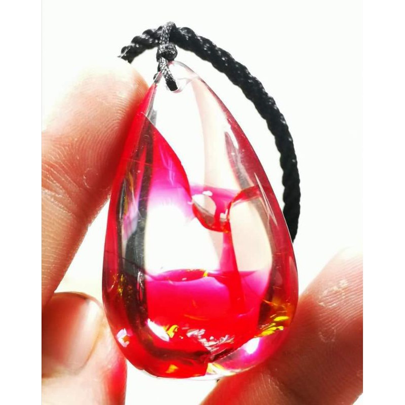 LIONTIN KECUBUNG MERAH KALIMANTAN