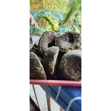 

gula merah tebu(gmt)