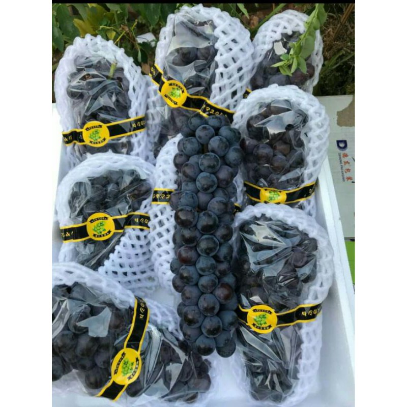 

Anggur autumn royal fresh 500 gram