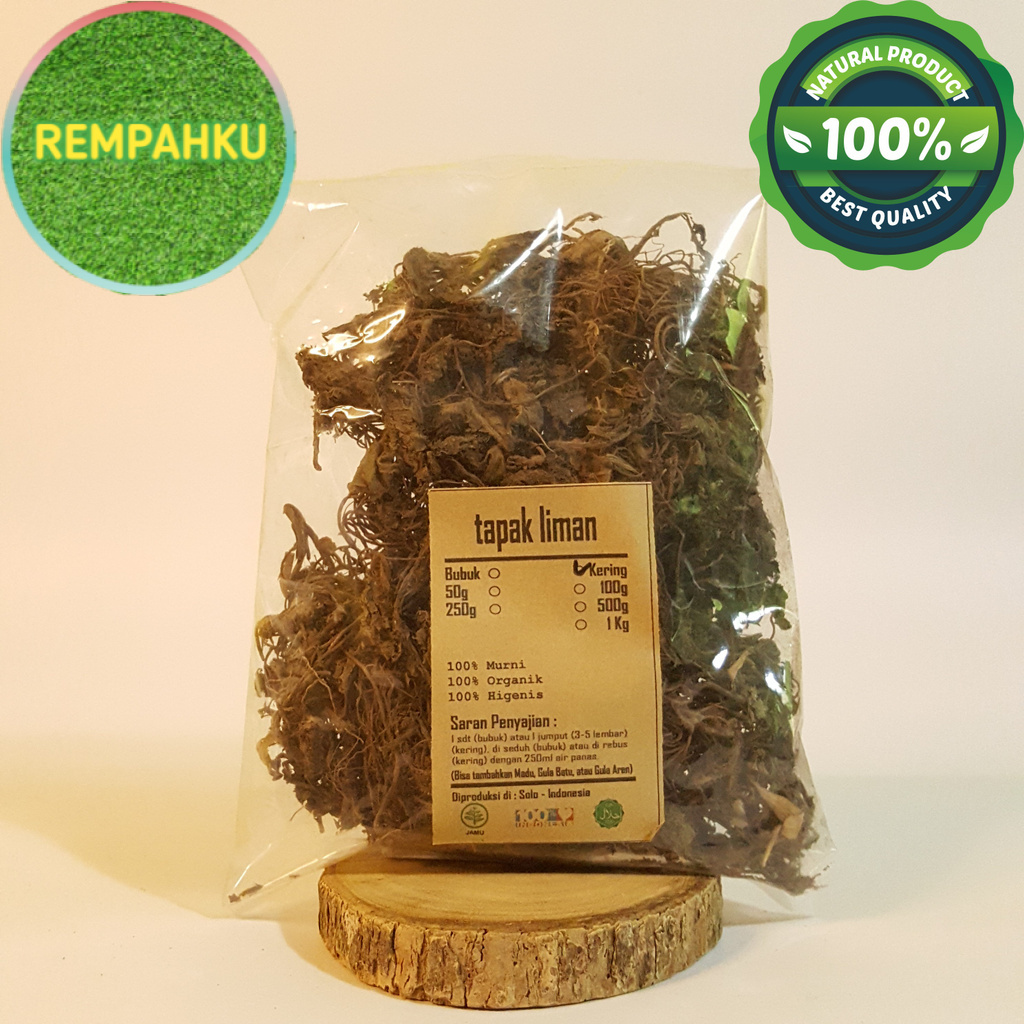 

TAPAK LIMAN KERING 50 GRAM - Elephantopus Scaber - MURNI - JSR -