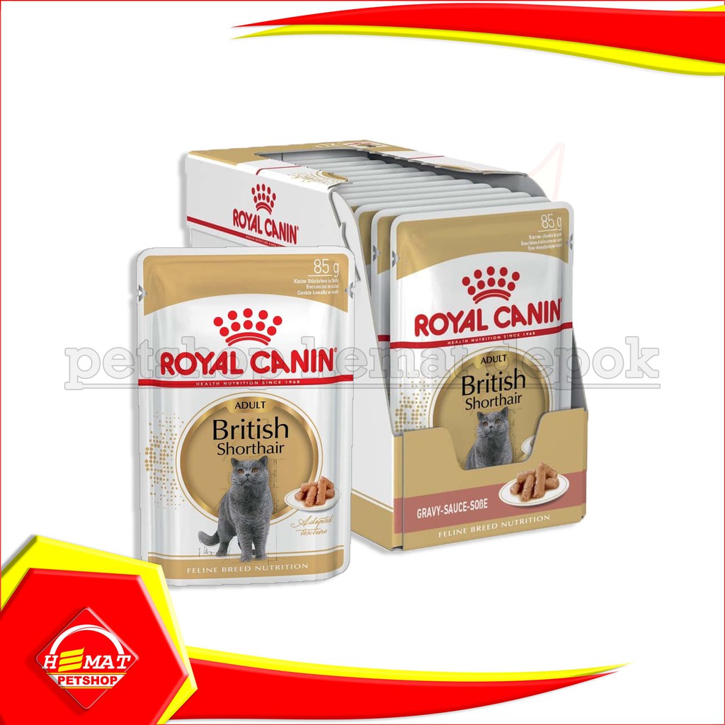 Royal Canin Adult British Shorthair 85 Gram Makanan Kucing  Wet Food 85gr