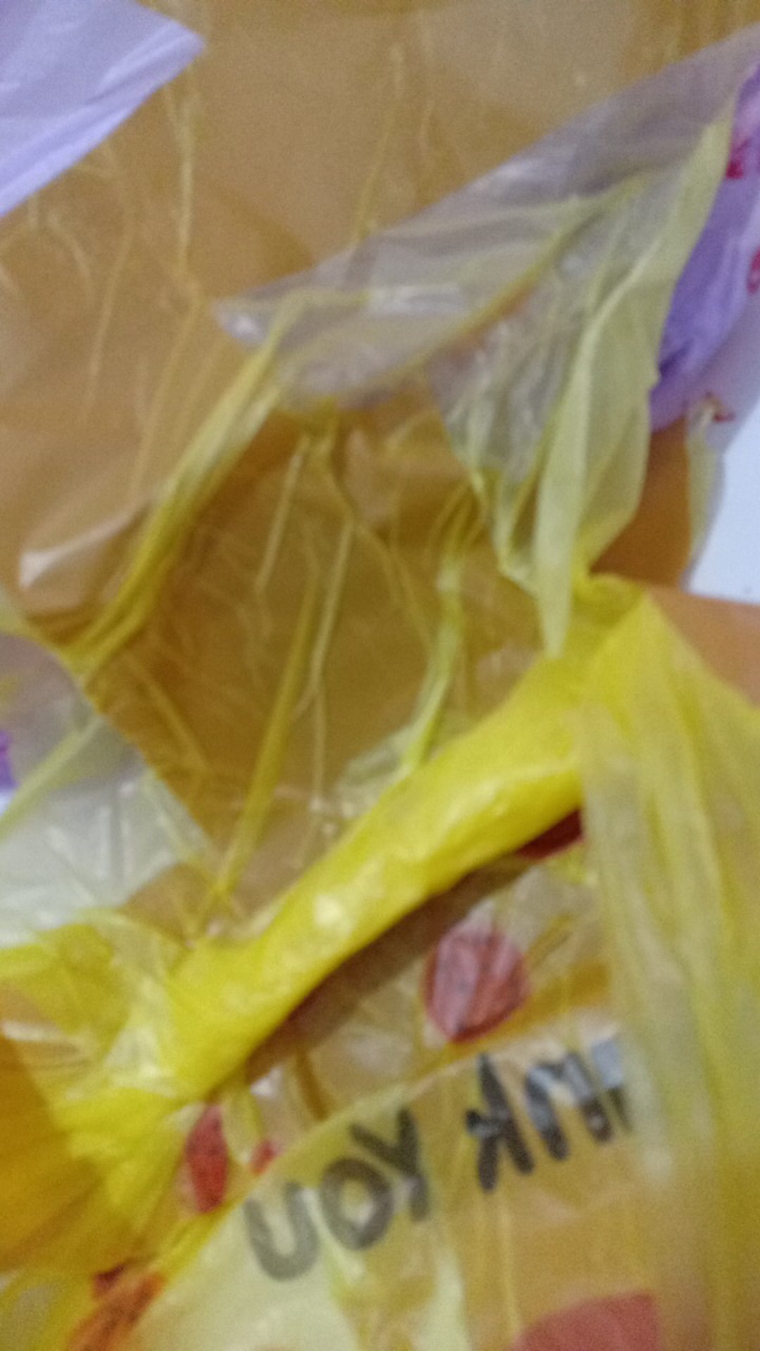 Tanaman Cincau Hijau Perdu/bibit Herbal Cincau Hijau Perdu