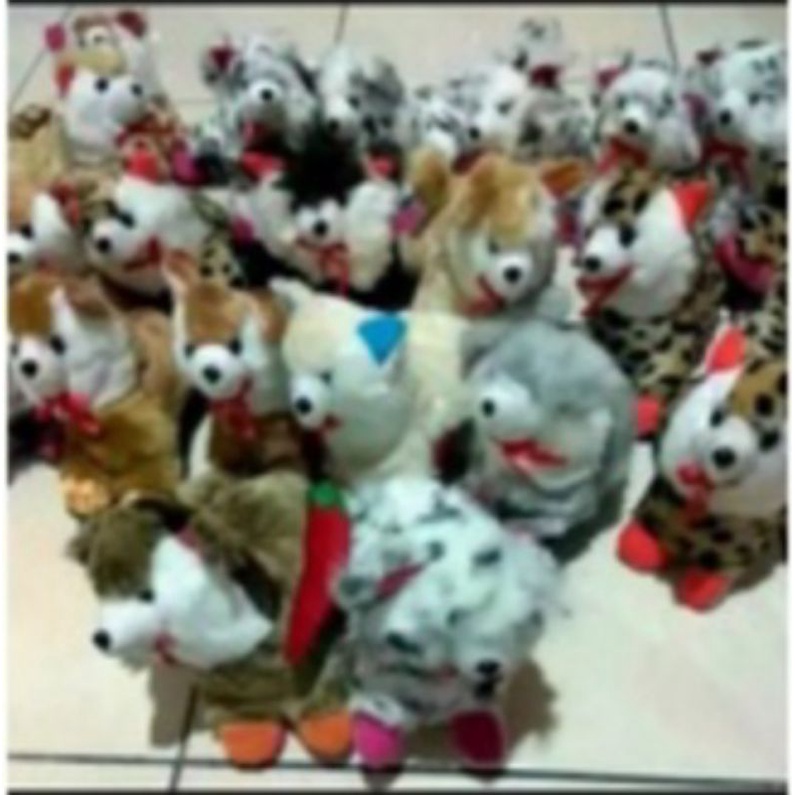 Boneka Kucing Angora Lucu Bulu Jabrig Korea Murah