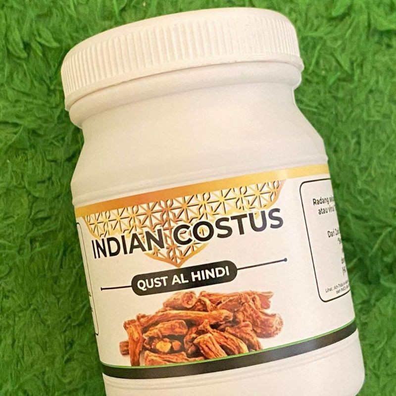 Indian Costus Al Hindi