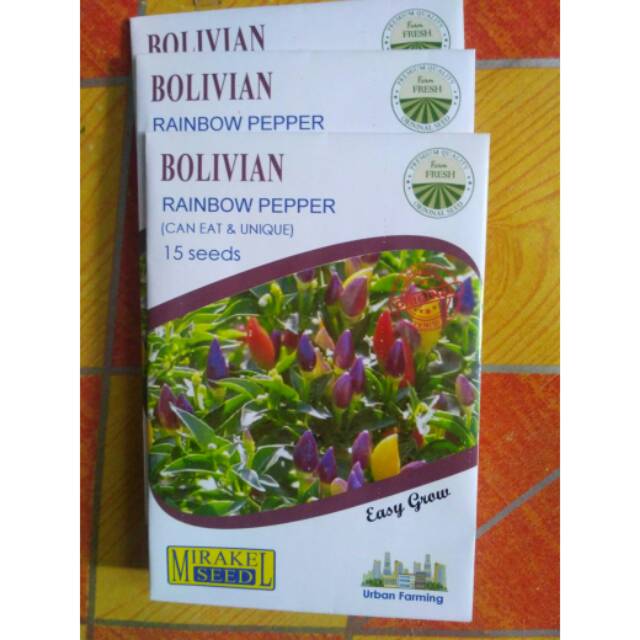 

BOLIVIAN Rainbow pepper isi 15 biji