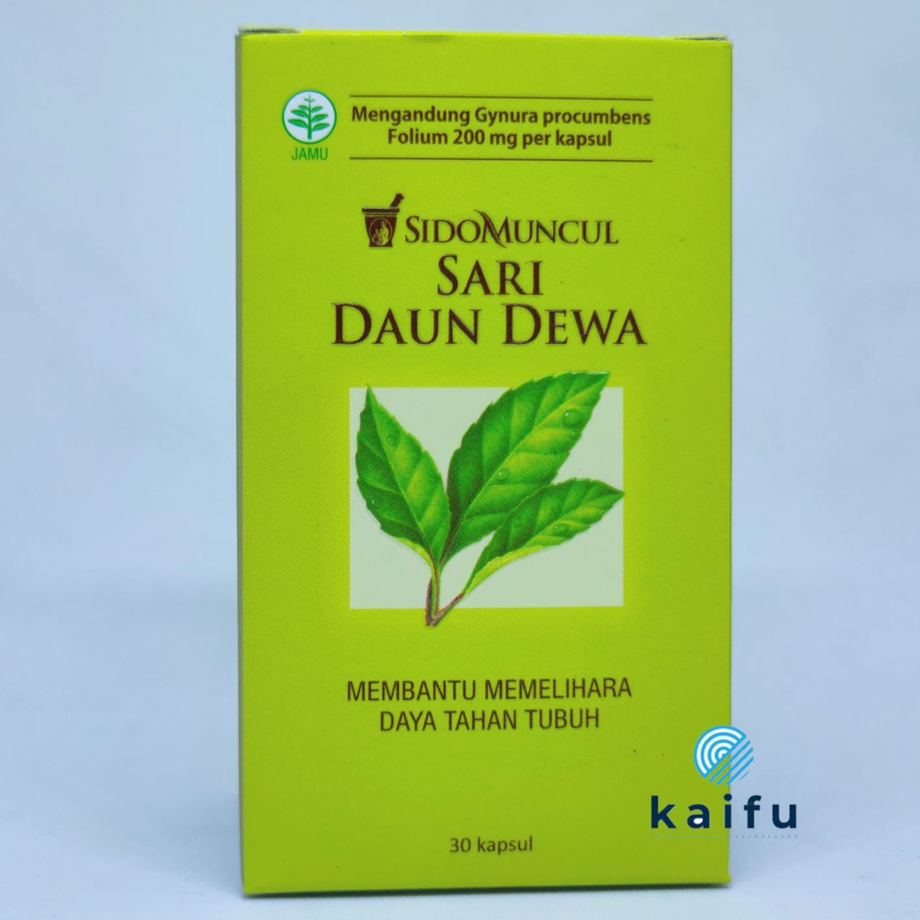 Sidomuncul Sari Daun Dewa | Gynura Procumbens Isi 30 Kapsul
