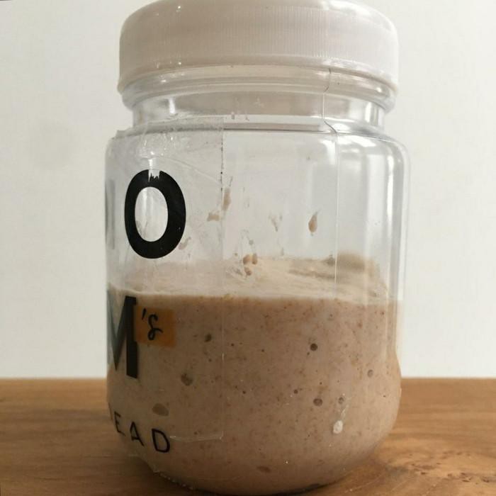 

PROMO - (INSTANT ONLY) ACTIVE 100% WHOLEWHEAT SOURDOUGH STARTER