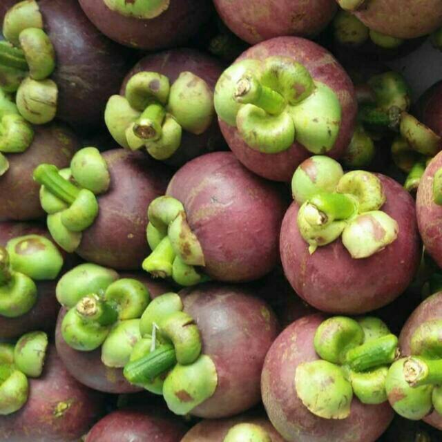 

Mangosteen