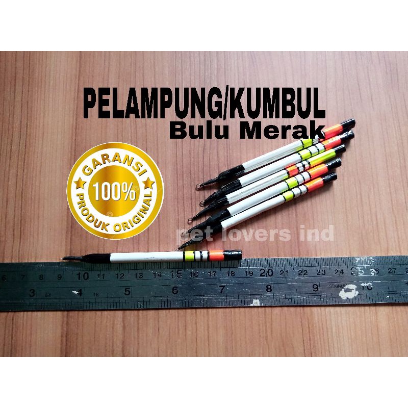 Kumbul pancing pelampung ikan mas merak