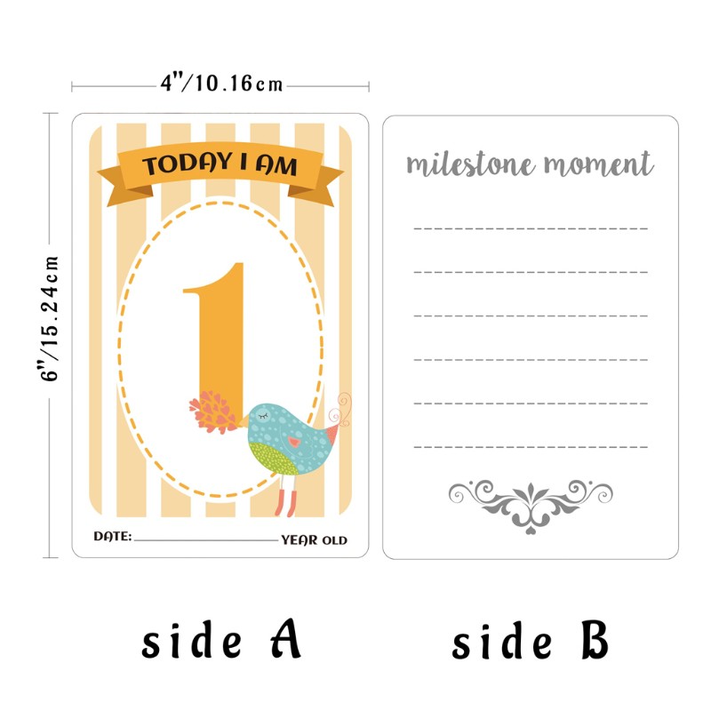 Mary☆ 12 Sheet Baby Monthly Milestone Cards Birth to 12 Months Photo Prop Moment Cards