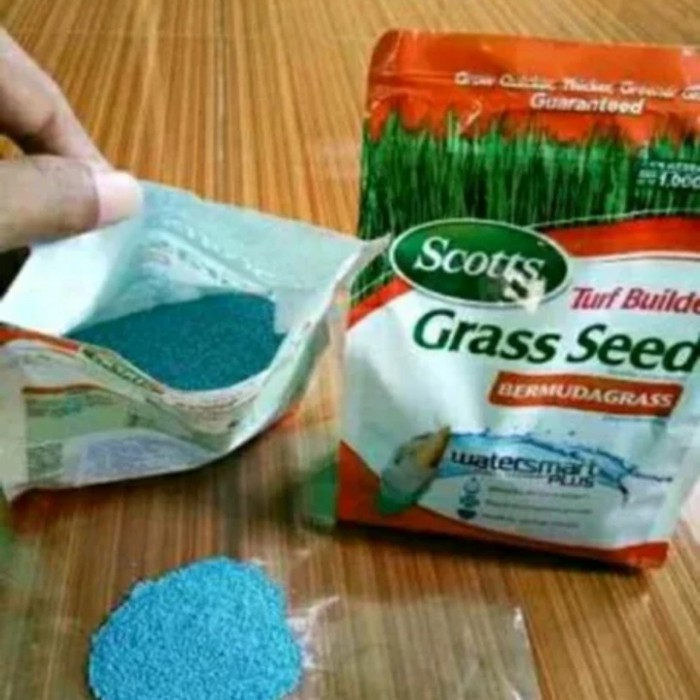 Biji Rumput Bermuda Grass 500gr Benih - Benih Rumput Bermuda Grass Scotts