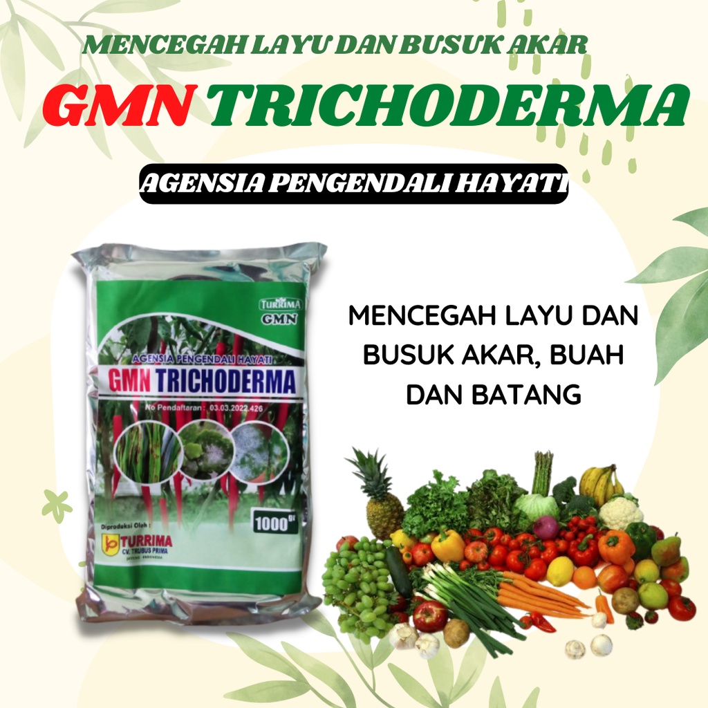 Tricoderma Fungisida Untuk Bawang Merah, Trichoderma Layu Fusarium Bawang Merah