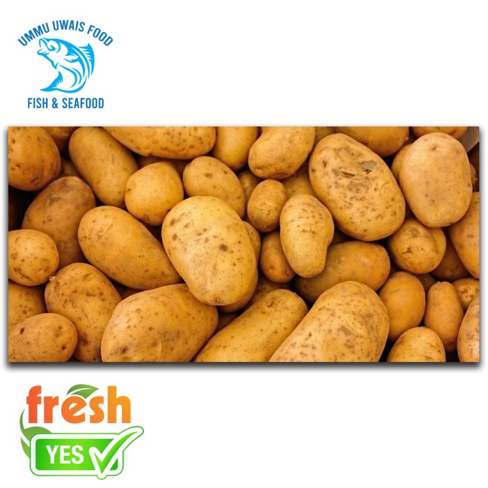 

Kentang Fresh - 500 Gram