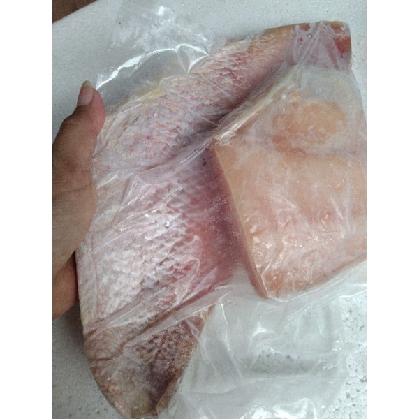 

fillet kakap merah