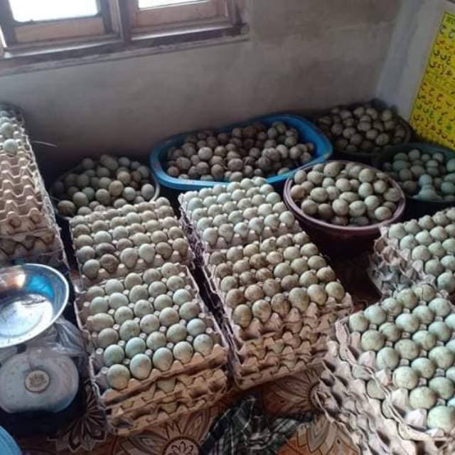 

Telur Asin Khas malingping