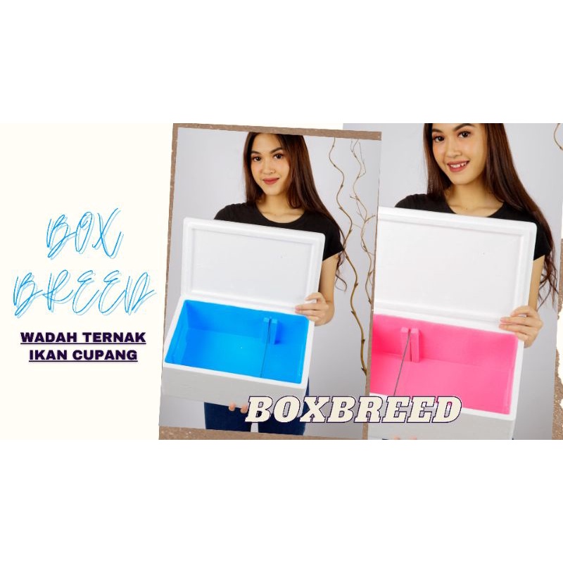 STYROFOAM BOX UTK TERNAK/BREED IKAN CUPANG