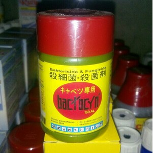 Bactocyn Bakterisida & Fungisida 80ml