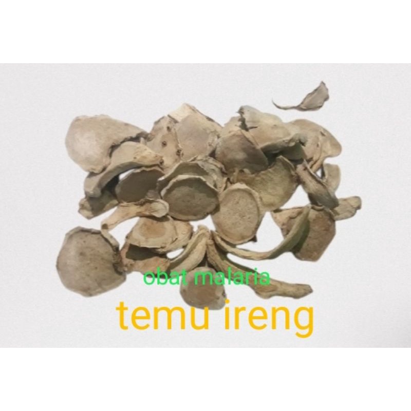 

Temu ireng kering|temu ireng segar|temu ireng alami|herbal malaria