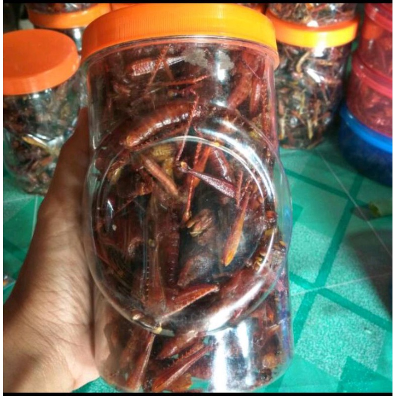 

belalang goreng besar / kayu 200 gram