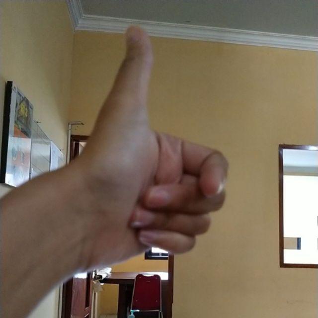 Swallow Daisap Penyerap Udara Lembab Yang Kuat Hijau 225ml