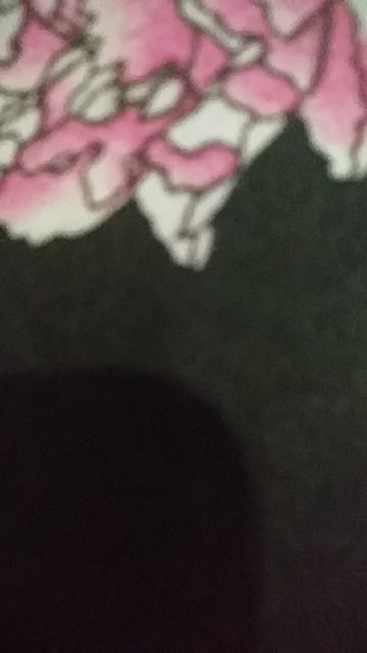 Sprei Keropi Uk 120, 180