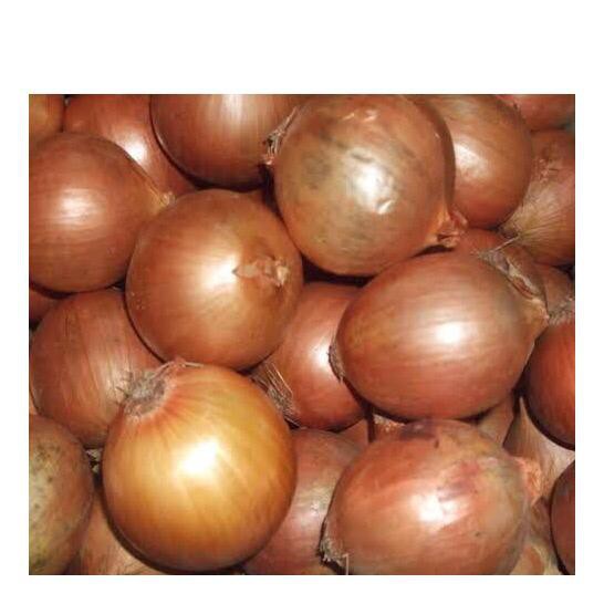 

BAWANG BOMBAY 500 GRAM