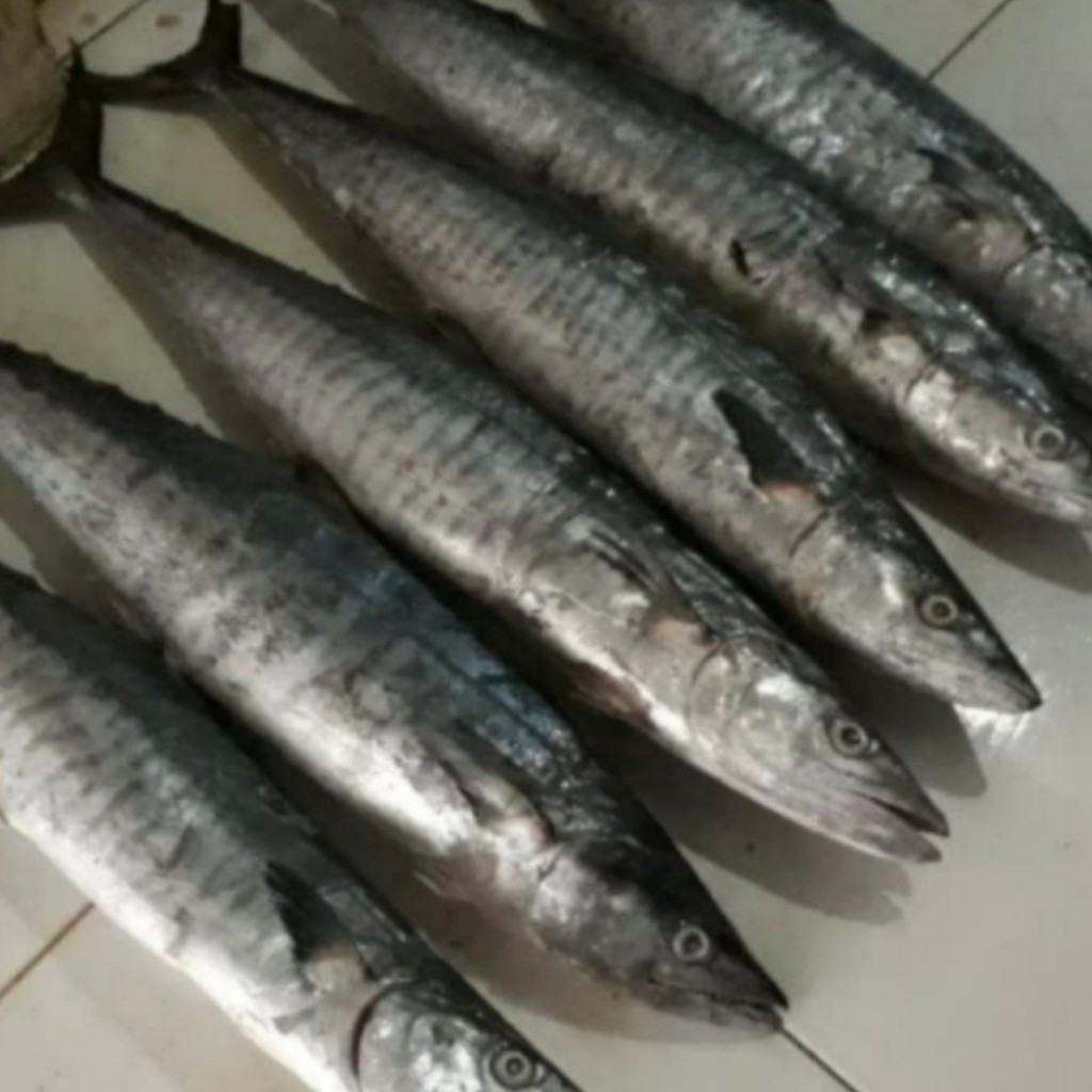 IKAN TENGGIRI GILING SEGAR 1KG