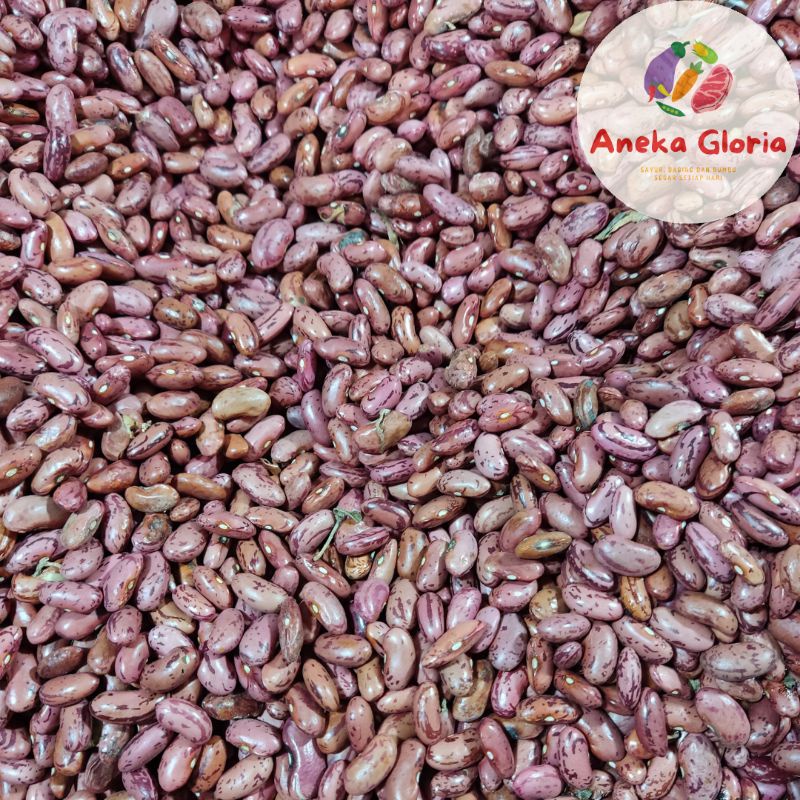 

Kacang Merah