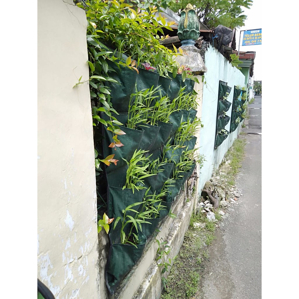 Termurah Green Wall Planter Bags Easy Grow 12 Kantong/planter Bag Dinding/vertical Garden ez50EGytanV81e