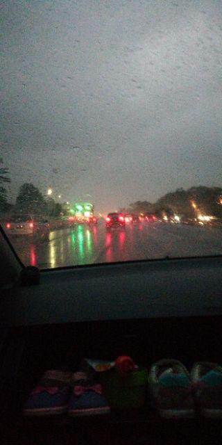 Spa Shower Head Kepala Shower Filter Aerator Pancuran Mandi Batu Ion