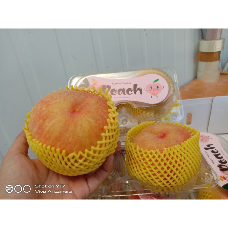

Buah Peach Korea Premium Import /1kg