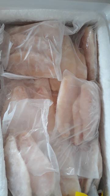 

Promo Ikan Dori Fillet Lokal isi 3,4 dan 5, Dori Fish Fillet 1 kg