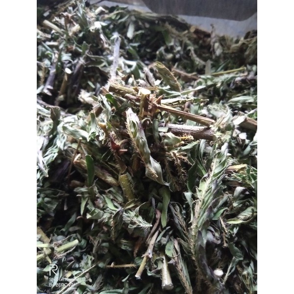 

teh daun putri malu kering per 200gram