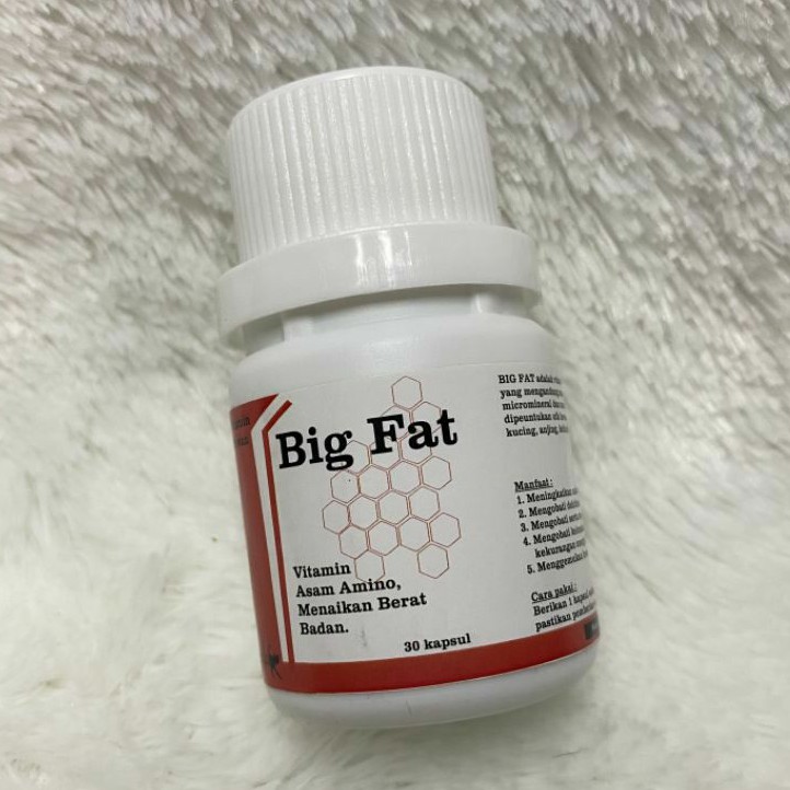 Big Fat kapsul Penggemuk penambah nafsu makan kucing