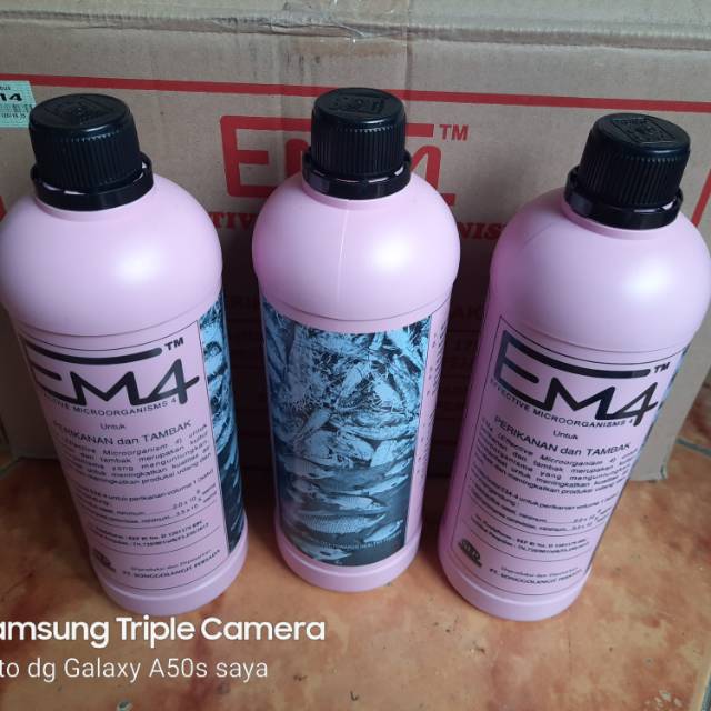 Em4 pink perikanan probiotik kolam ikan