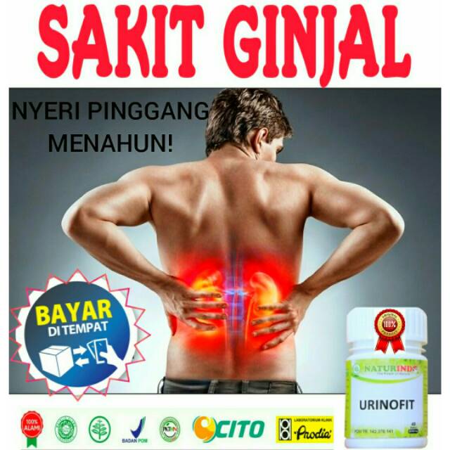 COD OBAT GINJAL HERBAL NATURINDO FRESH