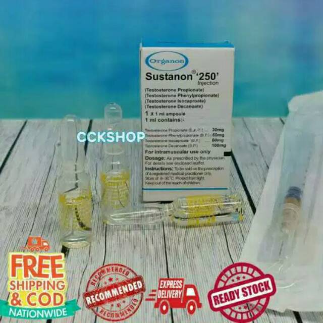 Sustanon Organon 250mg Injeksi Shopee Indonesia