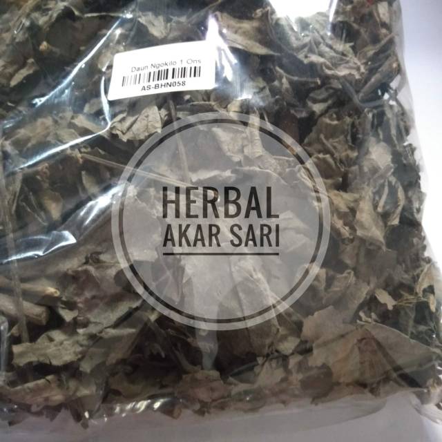 

Akar Sari - Daun Ngokilo 100 Gram - Mengobati Kencing Batu