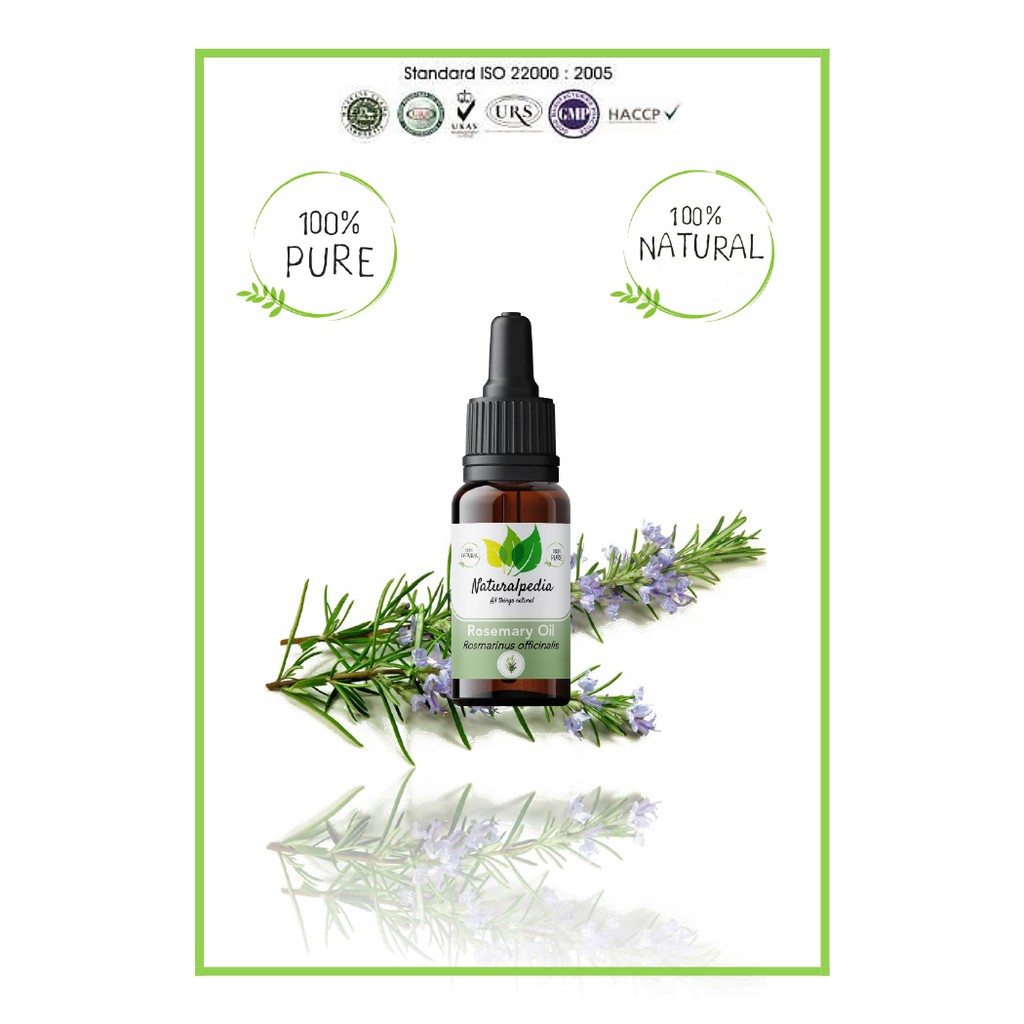 Pure Rosemary Essential Oil / Minyak Atsiri Esensial Rosemari Rose Mary Murni 10ml