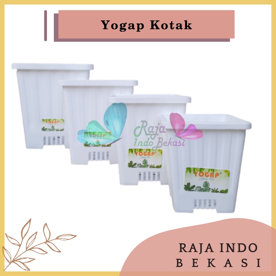 Pot Yogap Kotak 8 10 12 15 Putih Transparan Bening Merah Bata Coklat Terraccota Terakota Orange Pot Segi Empat Hias Pot Yogap 10 13 15 17 18 19 25 30 Pot Yogap Lusinan Pot Kotak Panjang Kecil 8 Cm Tinggi