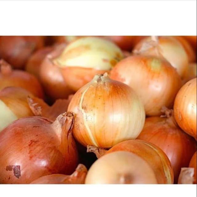 

Bawang bombay dengan ukuran besar 500gram