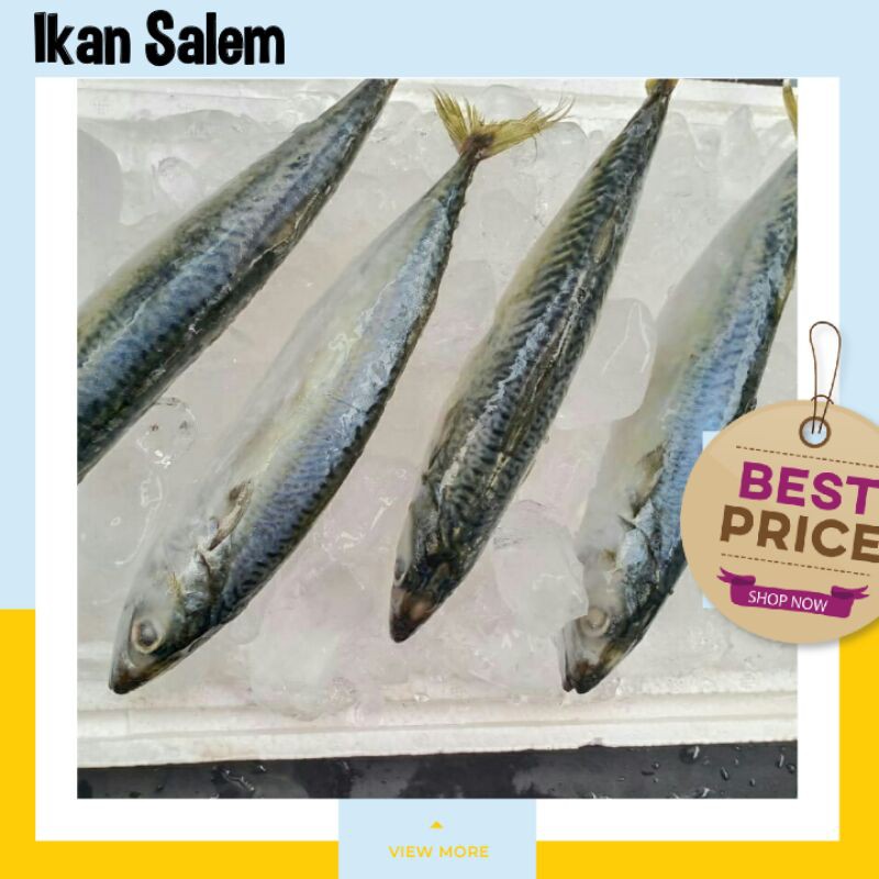

IKAN LAUT SALEM / IKAN MAKAREL / IKAN SARDEN FRESH 500gr