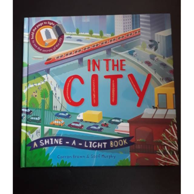 In the city a shine a light book