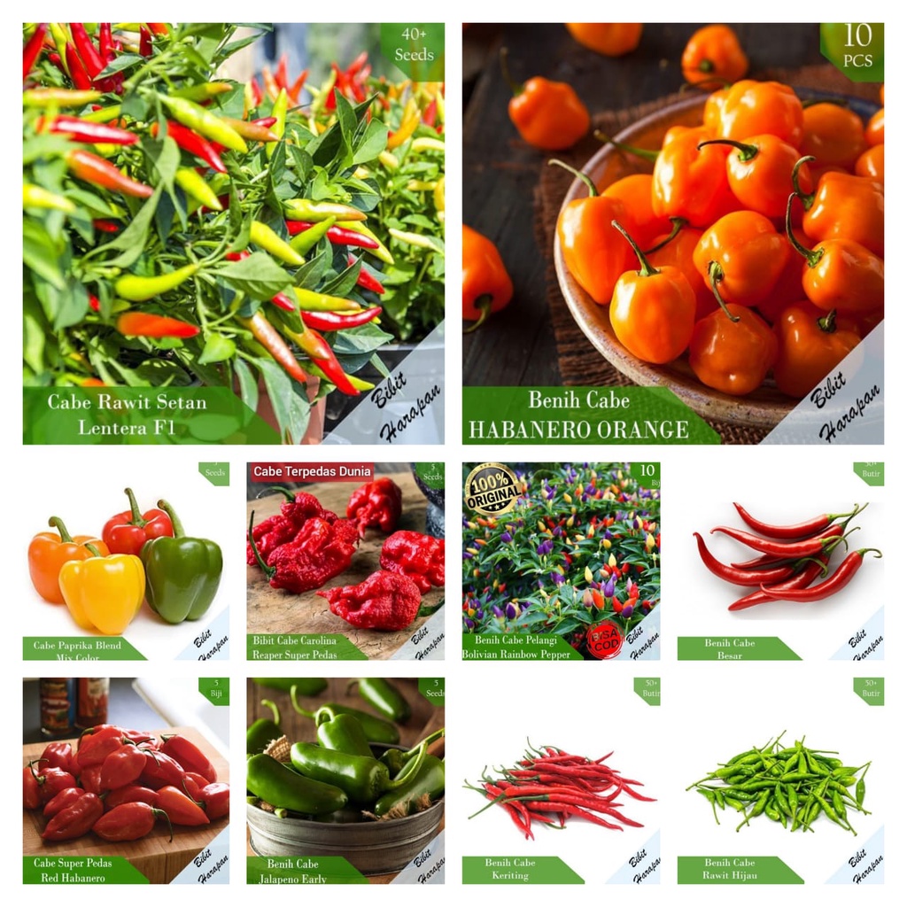 Bibit Benih Biji Cabe Cabai Rawit Setan Merah Hijau Unggul Keriting Besar Carolina Reaper Super Peda