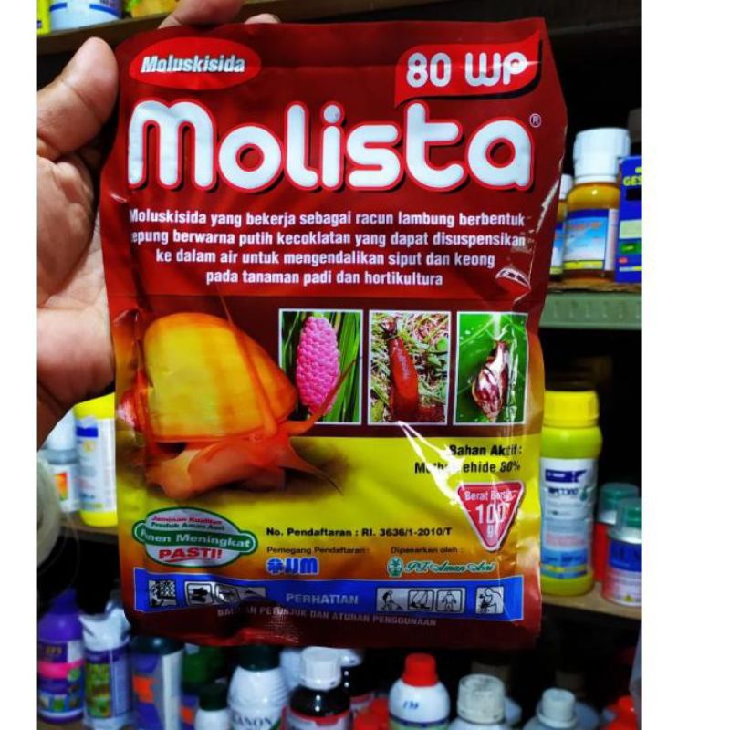 RACUN KEONG/SIFUT MOLISTA 80 Wp