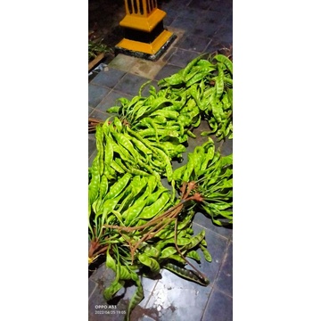 

buah Pete petai segar great A 10lonjor